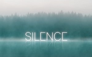 5851529ced932j17-300x300-insta-silenceel